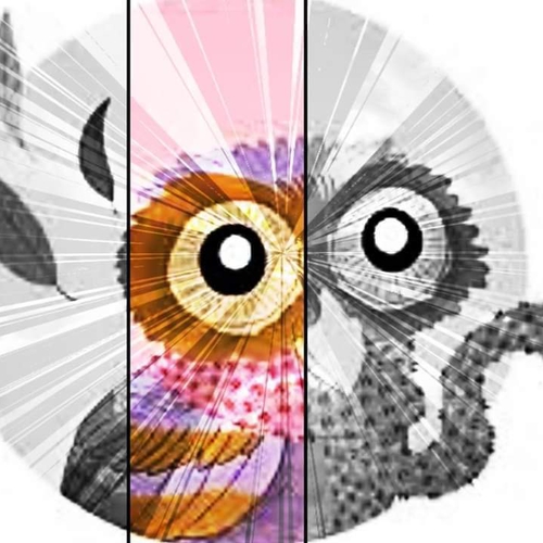 Cineforum filosofico: L'ESPERIENZA DEL PENSIERO