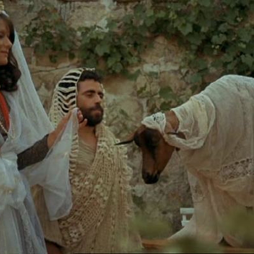 Andrò come un cavallo pazzo di Fernando Arrabal