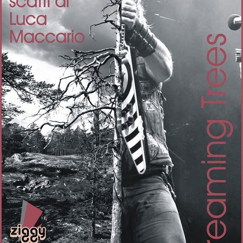 Screaming Trees, Esposizone fotografica, scatti di Luca Maccario