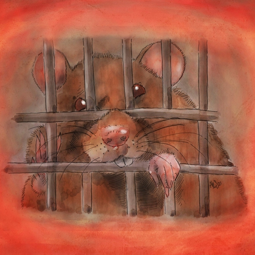 Prison Break. La sindrome di Montecristo