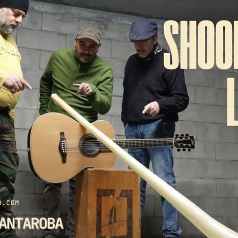 Shook Roots - Live