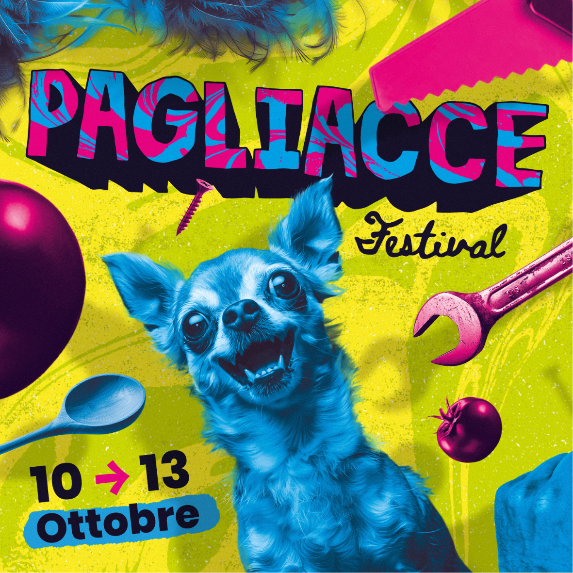 TORNA PAGLIACCE - FESTIVAL INTERNAZIONALE DI DONNE CLOWN