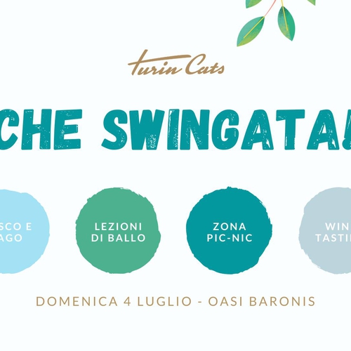 CHE SWINGATA!!