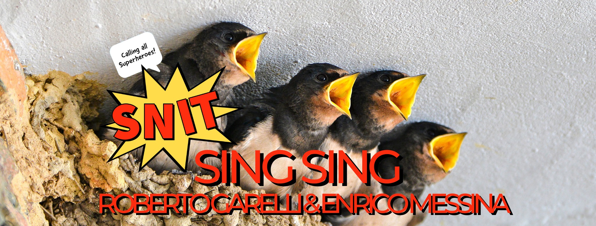 Sing Sing Workshop con Quinta Tinta