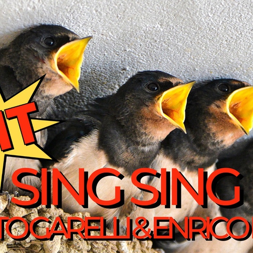 Sing Sing Workshop con Quinta Tinta