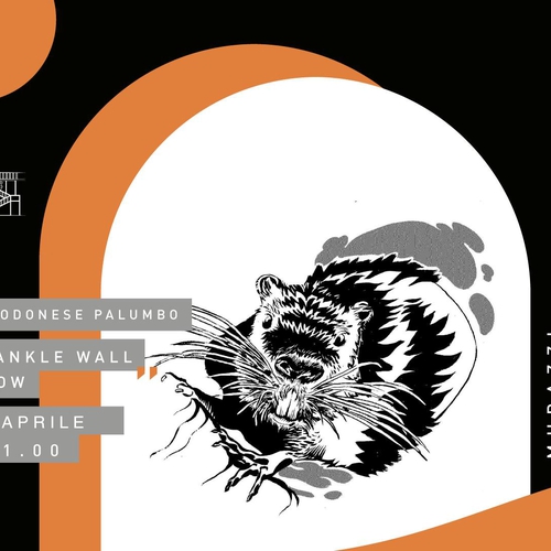 Fabrizio Modonese Palumbo “Crinkle Crankle Wall” - LIVE