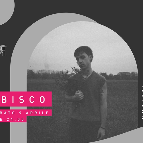 Ibisco "Nowhere Emilia" live @ Magazzino sul Po - open act: Selli