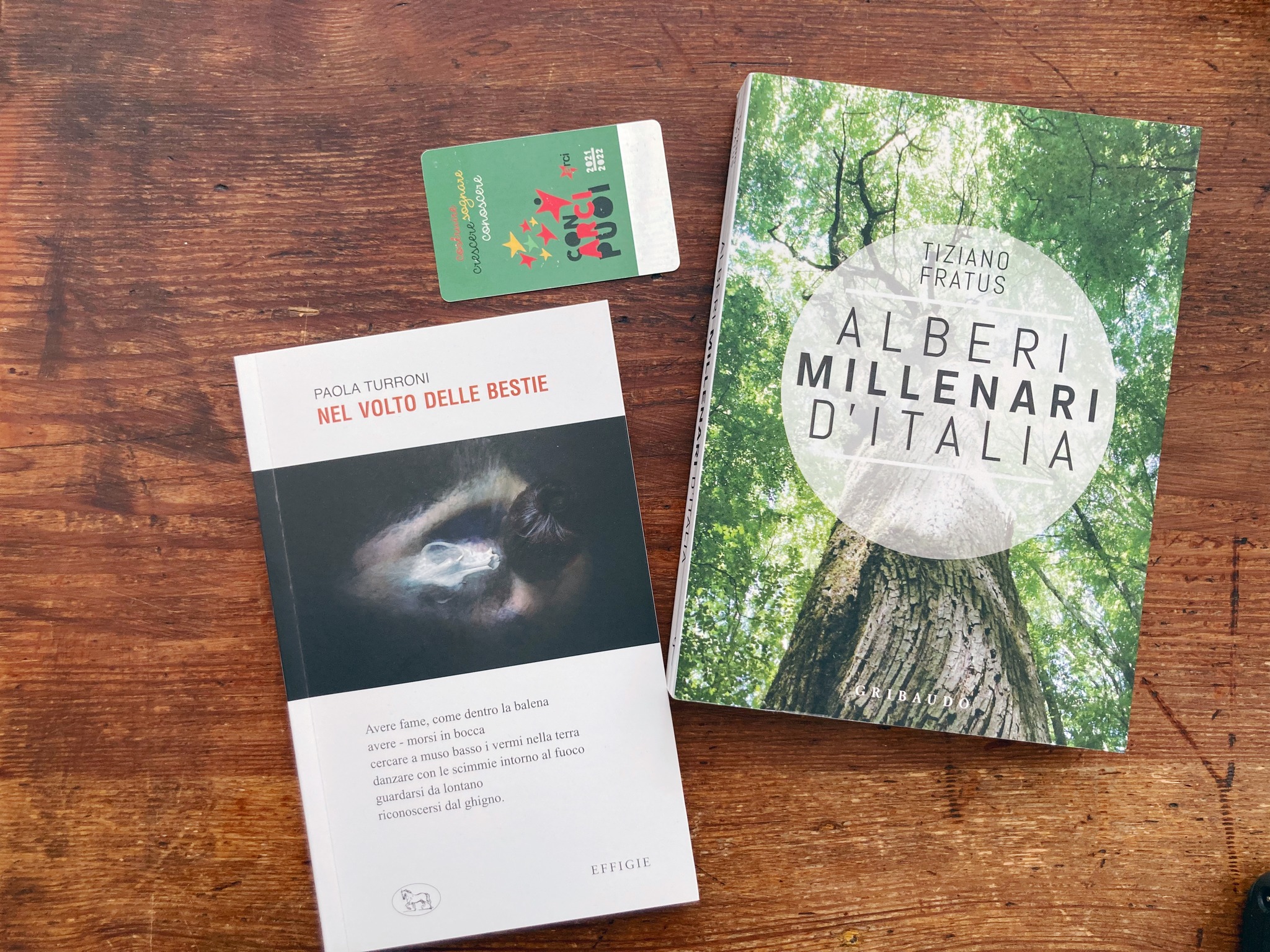 Nel volto delle bestie/ Alberi millenari d'Italia