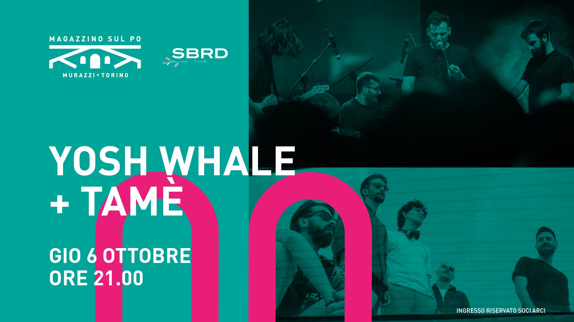 Yosh Whale + TAMÈ live