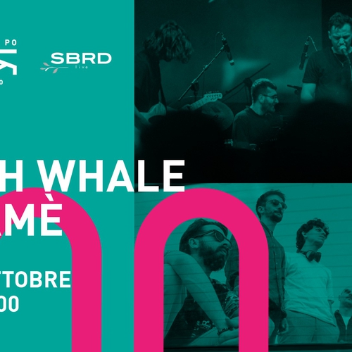 Yosh Whale + TAMÈ live