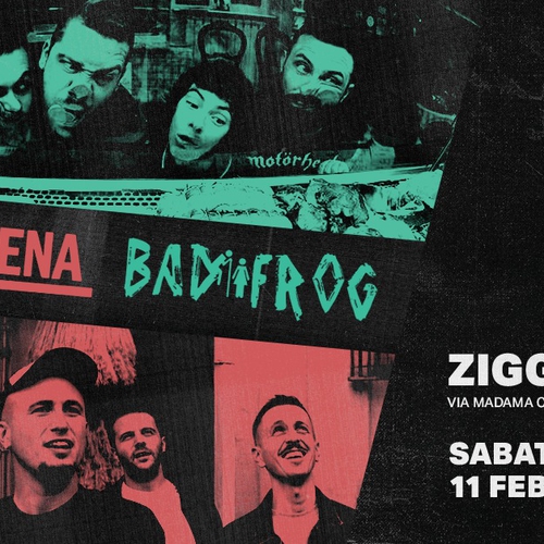 QUARANTENA + BAD FROG @ ZIGGY