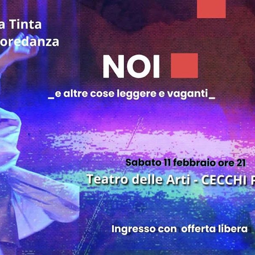 NOI _e altre cose leggere e vaganti_