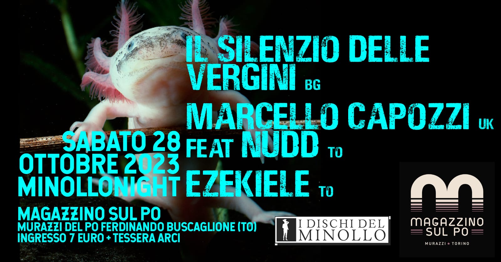 Minollo Night Live 