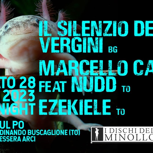 Minollo Night Live 