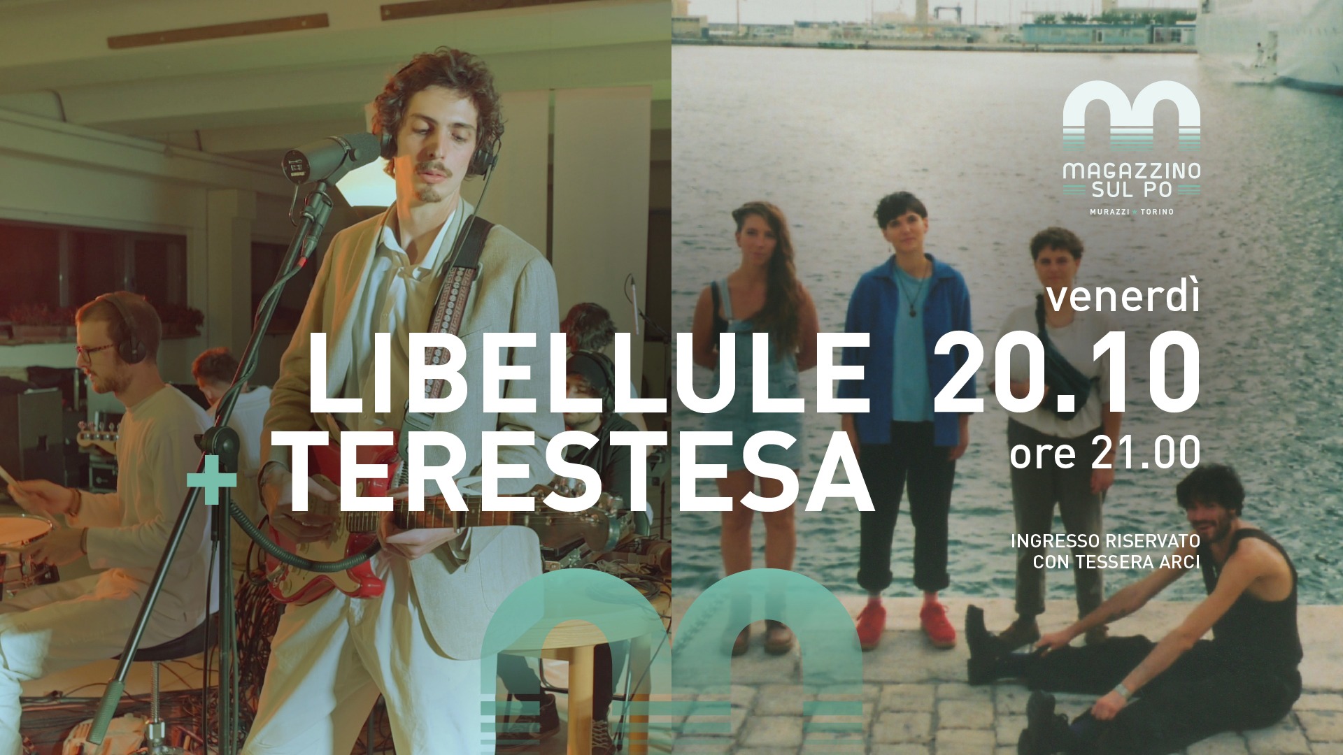 Libellule + Terestesa 