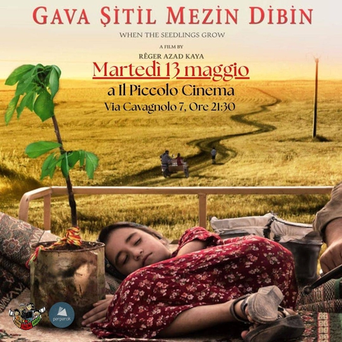 When the seedlings grow - Reger Akad Kaya