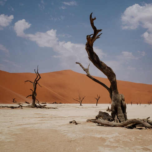 NYOS + GORDONZOLA Live | Ziggy Club