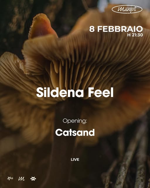 Sildena Feel 