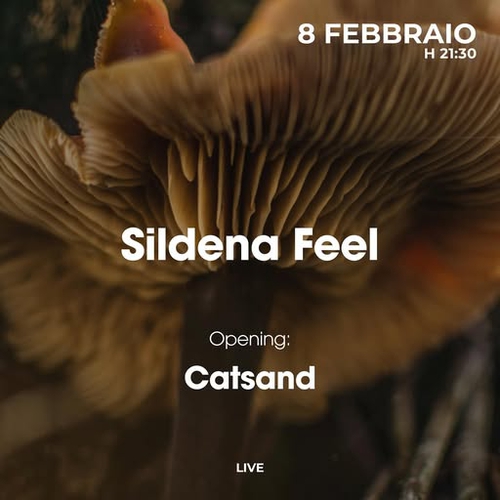 Sildena Feel 
