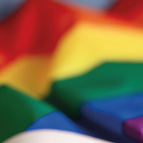 "Parole arcobaleno. Storia del lessico LGBTQ+ in Italia" di Elena Pepponi