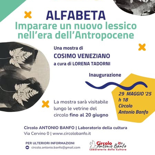 ALFABETA