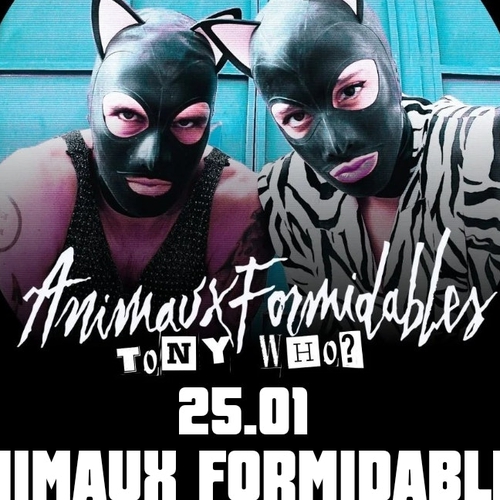 Animaux Formidables Live @Cap10100