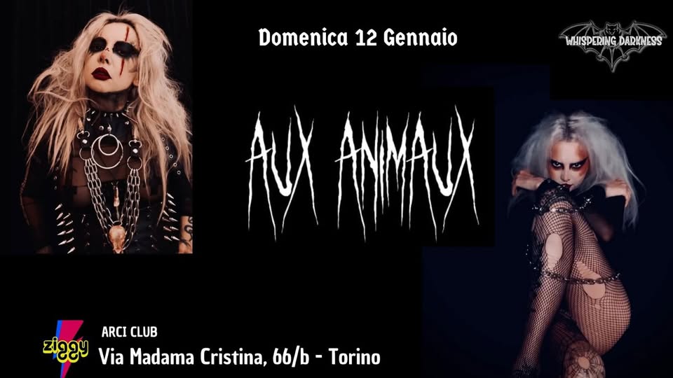 AUX ANIMAUX live