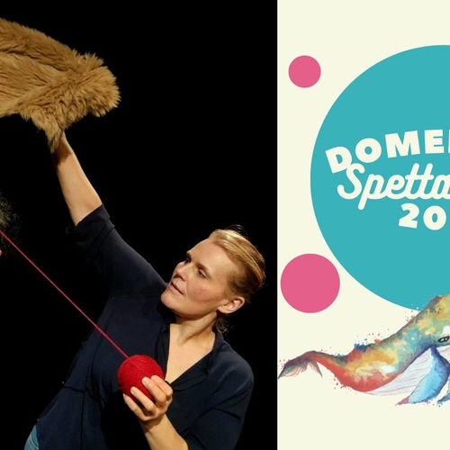 Ultima Domenica Spettacolare - La sfida del labirinto