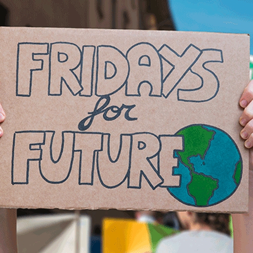 Pastasciuttata per finanziare lo Sciopero dei Fridays for Future! 