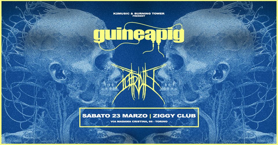 GUINEAPIG - PUTRIDITY