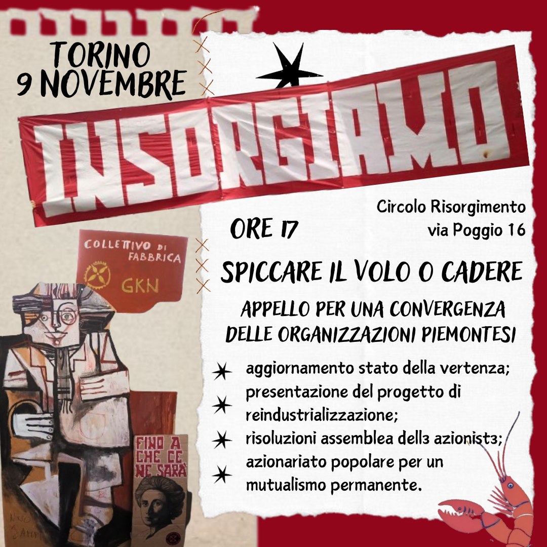 Spiccare il Volo o Cadere - Appello per una convergenza delle organizzazioni piemontesi