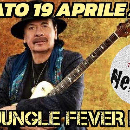 The Jungle Fever live