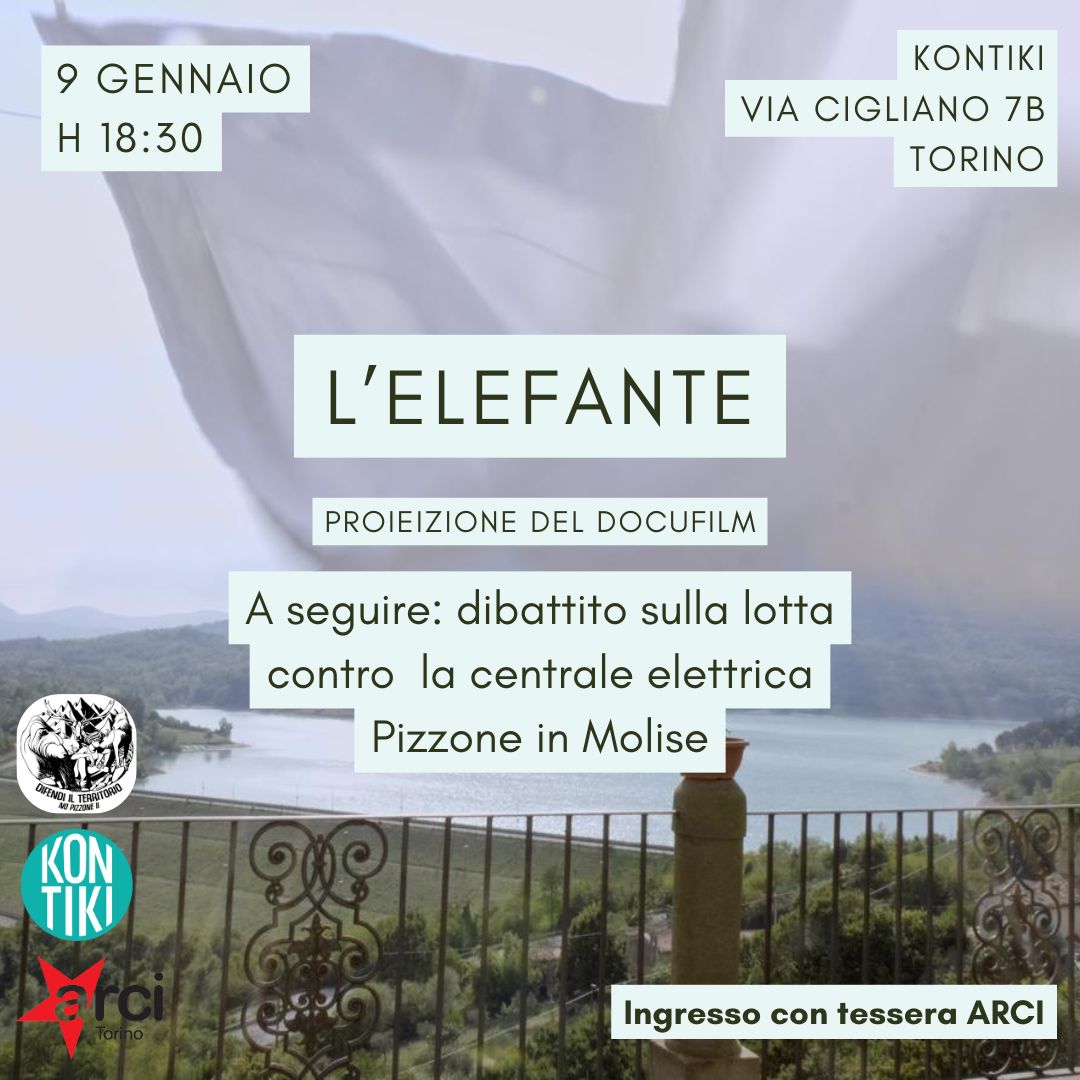  L’ELEFANTE: