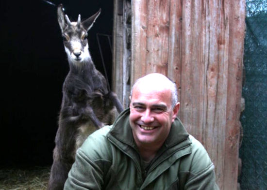 Quando nel Po nuotavano i delfini