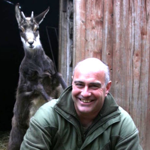 Quando nel Po nuotavano i delfini