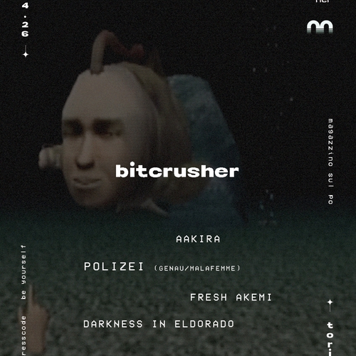 Bitcrusher