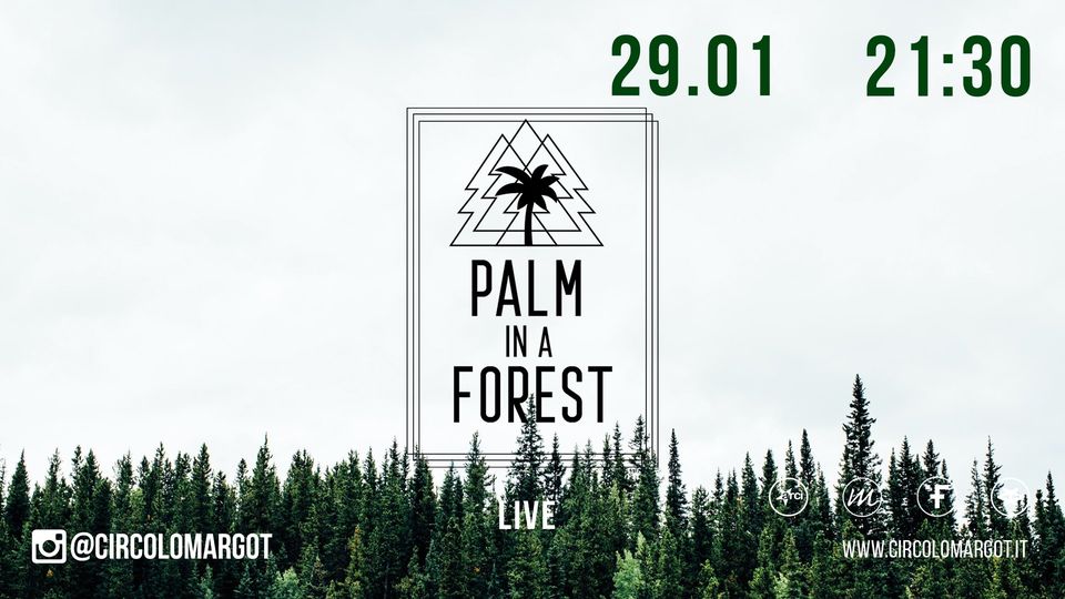 Palm in a Forest (live)