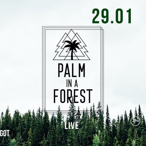 Palm in a Forest (live)