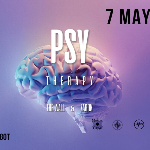 PSY Therapy (djset) | The Wall & Zarok