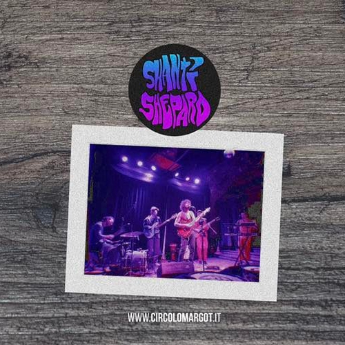 Shanti Shepard (live)