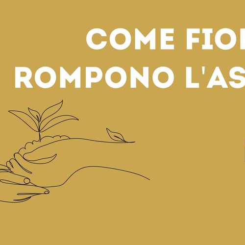 COME FIORI CHE ROMPONO L'ASFALTO