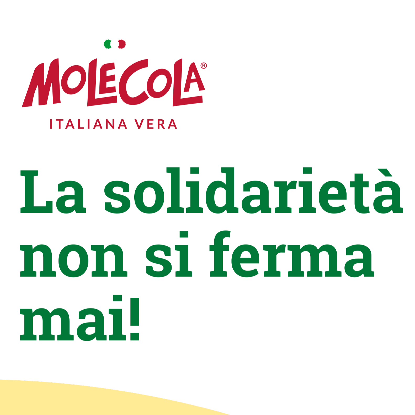 MOLECOLA, PROSEGUONO LE ATTIVITÀ SOLIDALI.  DAL SOSTEGNO A RENKEN ONLUS ALLE DONAZIONI A BANCO ALIMENTARE.