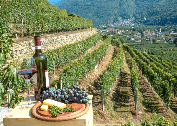 Il senso della Vite: il nebbiolo misterioso