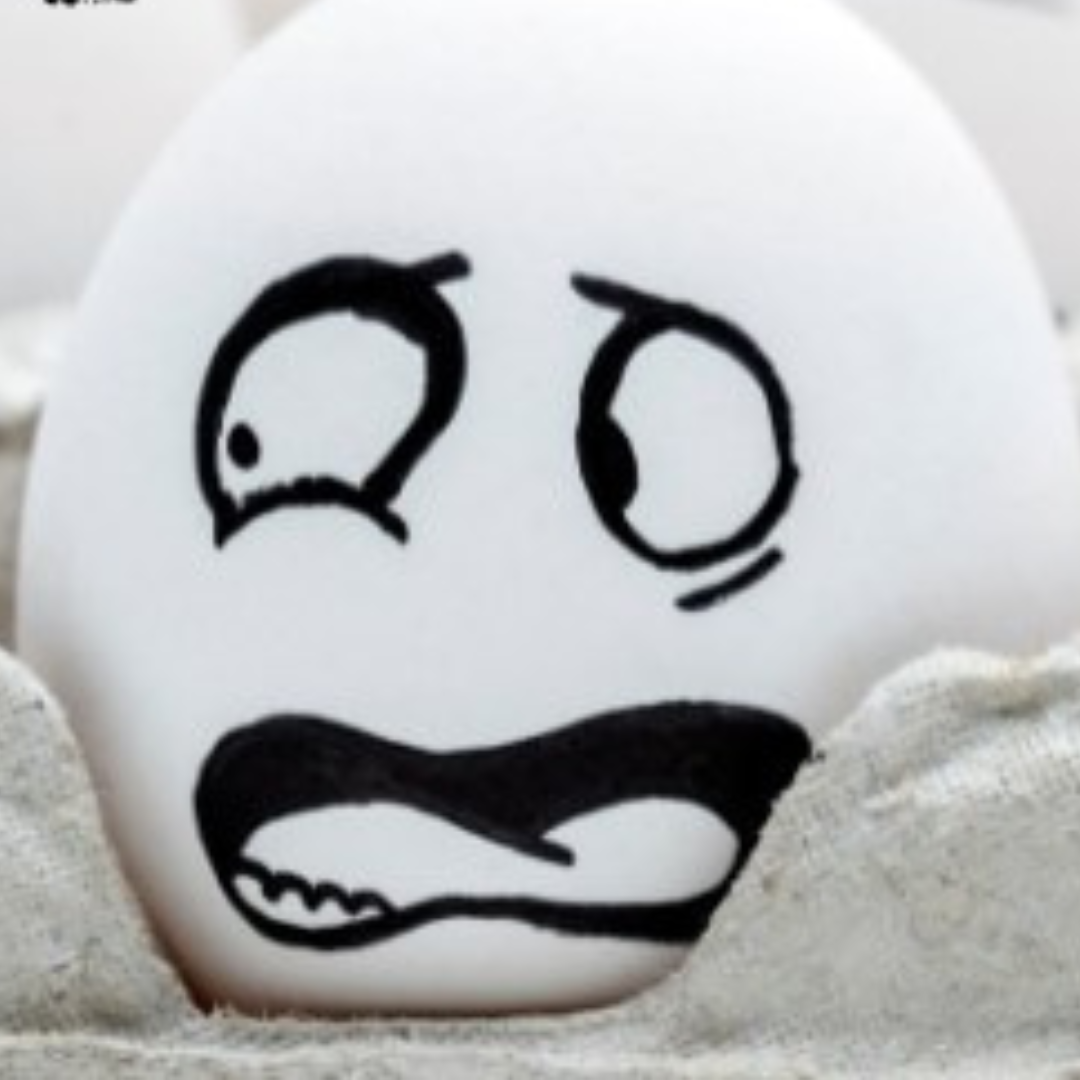 SAGGI SNIT Quinta Tinta al Cecchi Point