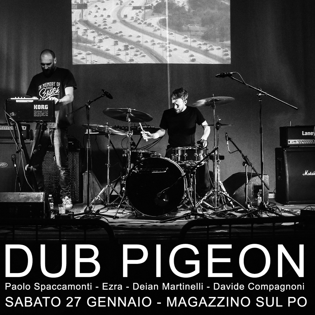 DUB PIGEON 