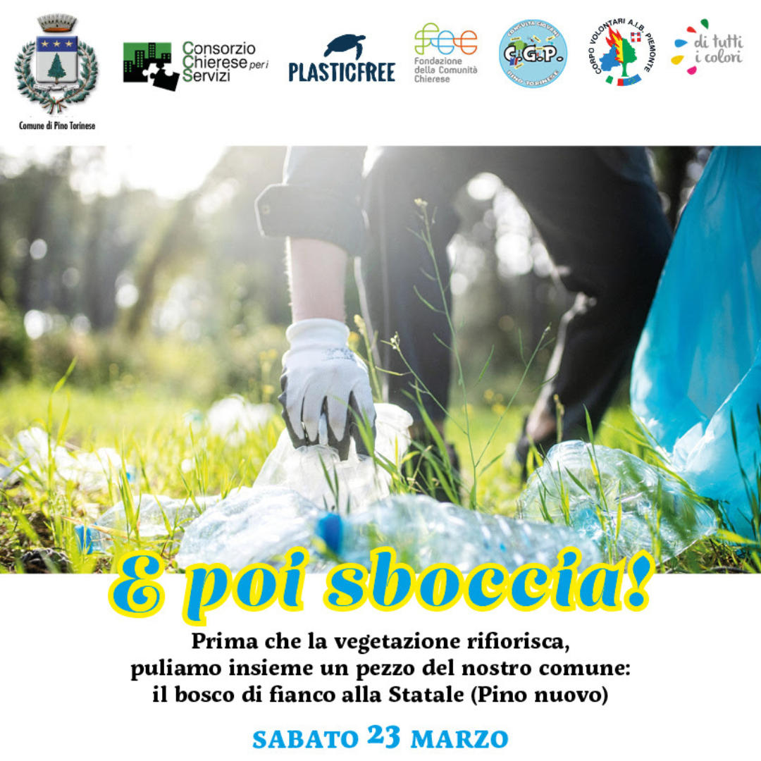 E poi si sboccia!