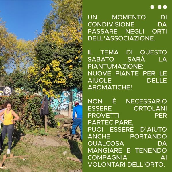 Il Sabato Del Villaggio
