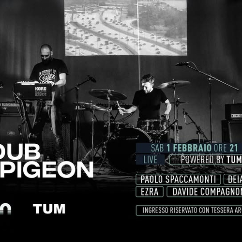 DUB PIGEON live