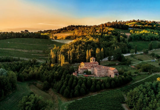 Il Senso della Vite: Scelte