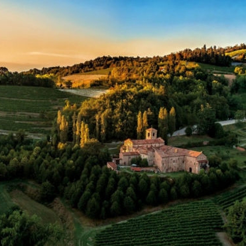 Il Senso della Vite: Scelte